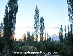 Goba Guest House Hunder Ladakh View From Room