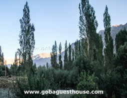 Nubra Valley Goba Guest House View From Room